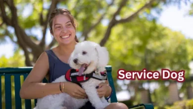 Complete Guide to Registering Your Service Dog