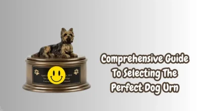 Comprehensive Guide To Selecting The Perfect Dog Urn