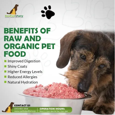 benefits of raw and organic pet foods