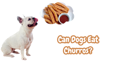 Can Dogs Eat Churros