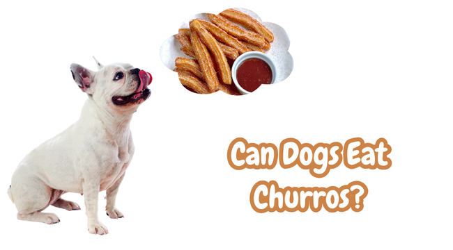 Can Dogs Eat Churros