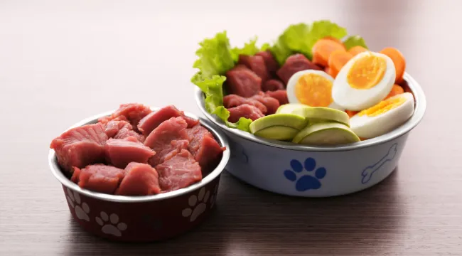 raw and organic dog foods