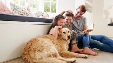 Best Dogs for Family Protection