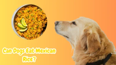 Can dogs eat Mexican rice?