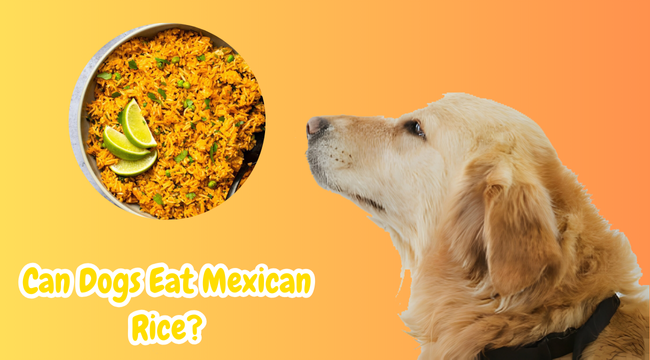 Can dogs eat Mexican rice?