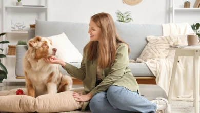 How a Dog Trainer in Sherman Oaks