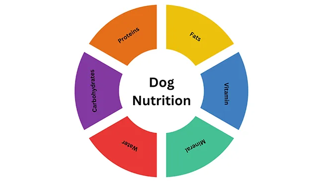 Balanced Diet and Nutrition