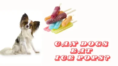 Can Dogs Eat Ice Pops