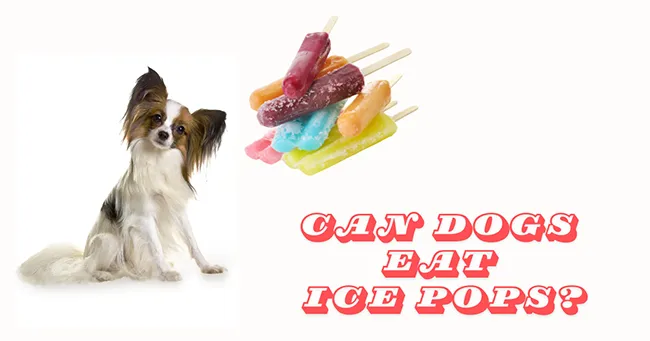 Can Dogs Eat Ice Pops