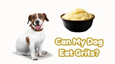 Can My Dog Eat Grits?