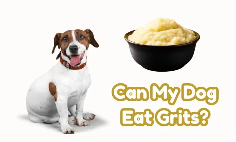 Can My Dog Eat Grits?