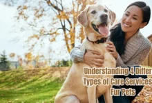 Understanding 4 Different Types of Care Services for Fur Pets