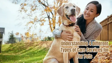 Understanding 4 Different Types of Care Services for Fur Pets