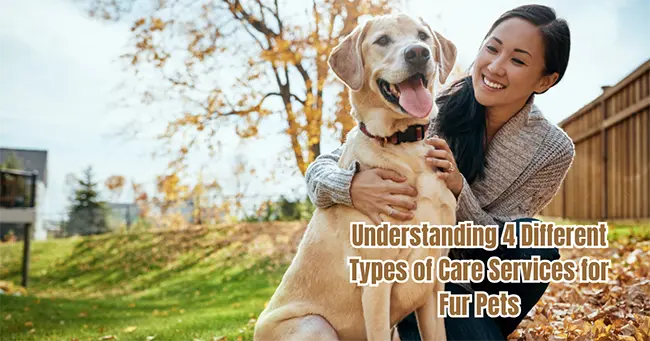 Understanding 4 Different Types of Care Services for Fur Pets