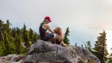 Ensuring Your Dog's Safety and Comfort on Outdoor Adventures