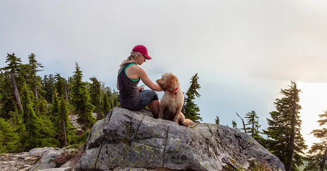 Ensuring Your Dog's Safety and Comfort on Outdoor Adventures