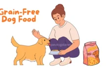 Grain-Free Dog Food