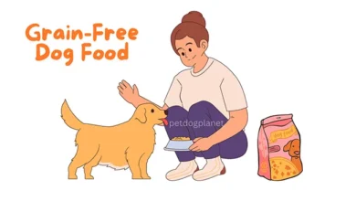 Grain-Free Dog Food