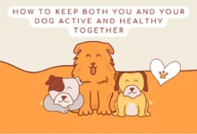 How to Keep Both You and Your Dog Active and Healthy Together