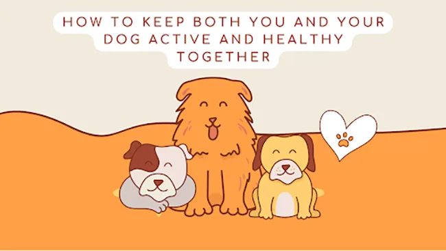 How to Keep Both You and Your Dog Active and Healthy Together