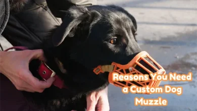 Reasons You Need a Custom Dog Muzzle