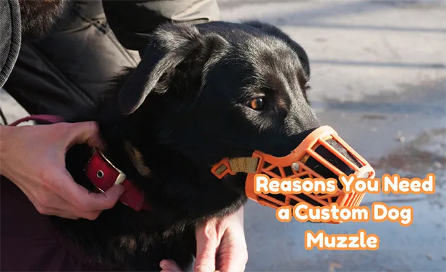 Reasons You Need a Custom Dog Muzzle