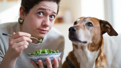 can dog eat green peas