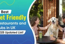 Best Pet-Friendly Restaurants and Pubs in the UK