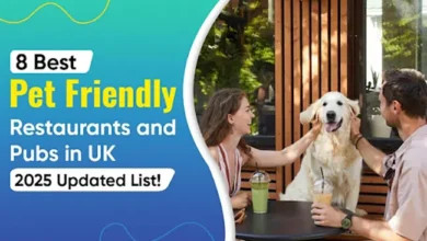 Best Pet-Friendly Restaurants and Pubs in the UK