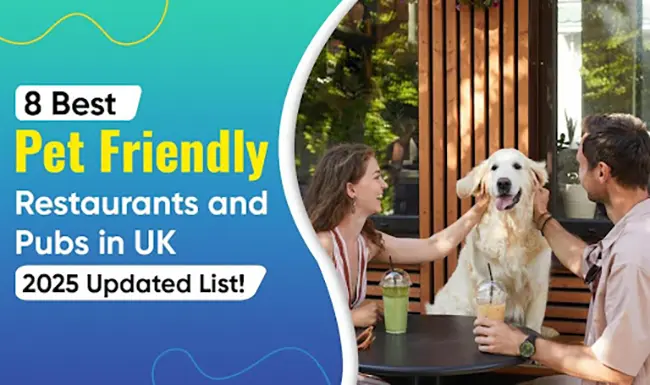 Best Pet-Friendly Restaurants and Pubs in the UK