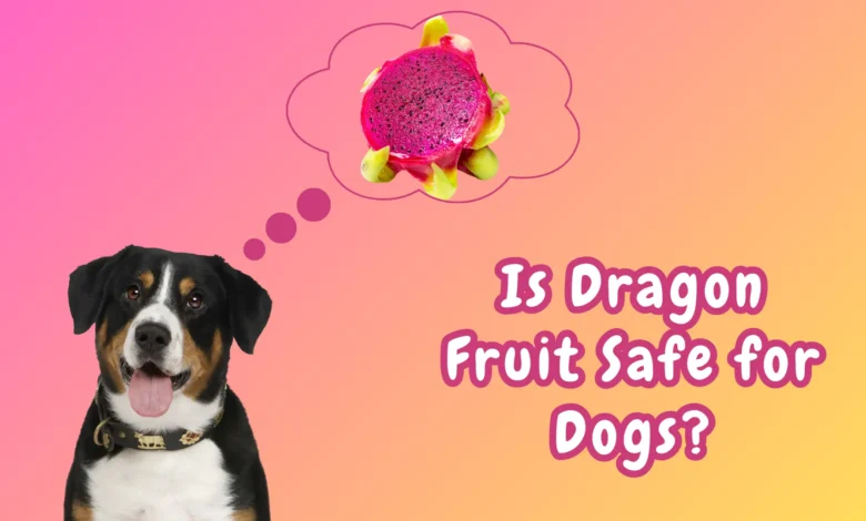 Can Dogs Eat Dragon Fruit