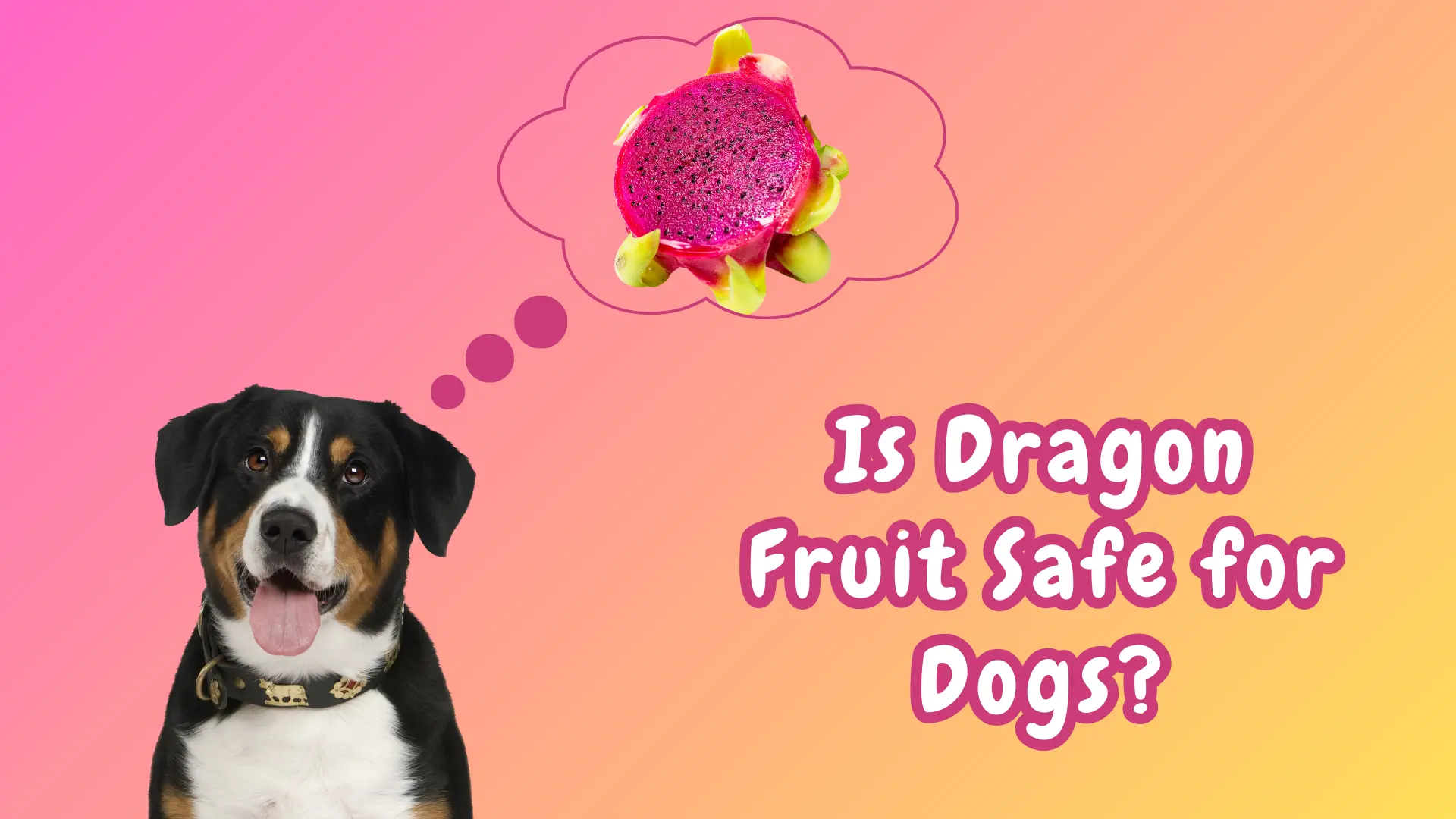 Can Dogs Eat Dragon Fruit