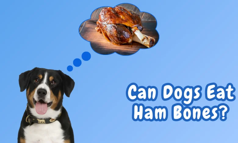 Can Dogs Eat Ham Bones?