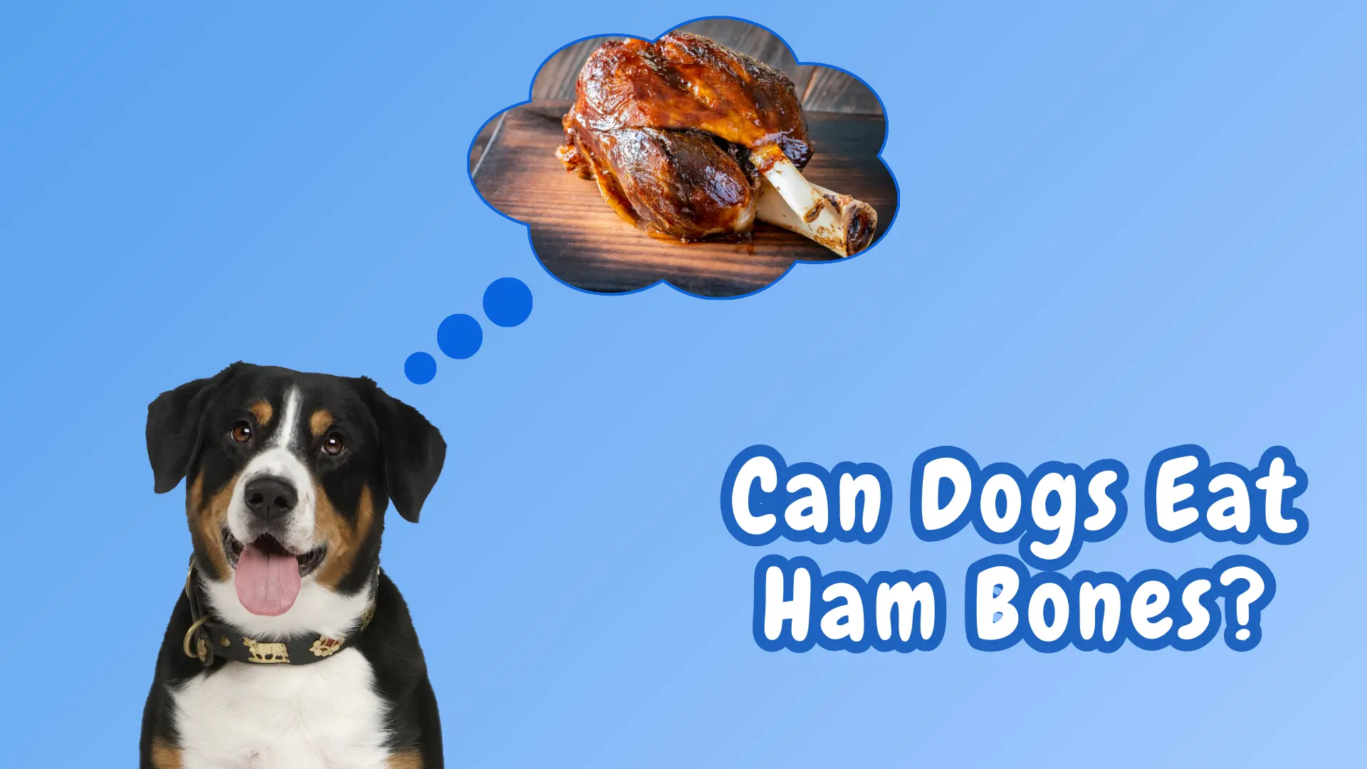 Can Dogs Eat Ham Bones?