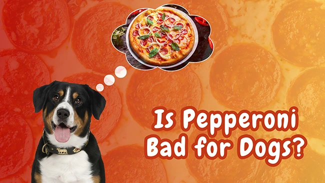 Can dogs eat Pepperoni