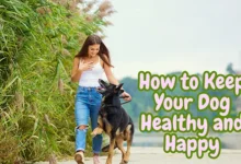 How to Keep Your Dog Healthy and Happy