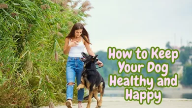 How to Keep Your Dog Healthy and Happy