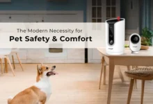 Why Every Pet Owner Needs a Pet Camera for Safety