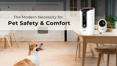 Why Every Pet Owner Needs a Pet Camera for Safety