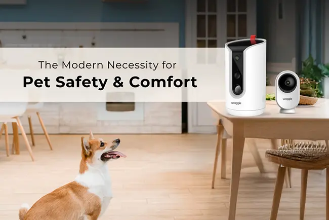 Why Every Pet Owner Needs a Pet Camera for Safety