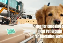 Pet Ground Transportation Service