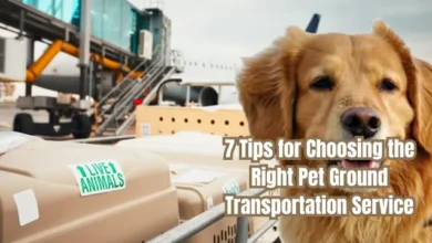 Pet Ground Transportation Service