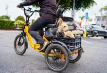 Electric Trike for Traveling with Your Dog