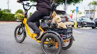 Electric Trike for Traveling with Your Dog