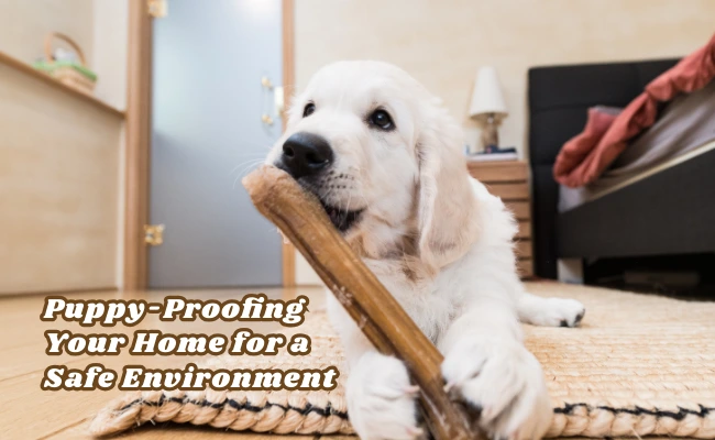 Puppy-Proofing Your Home for a Safe Environment