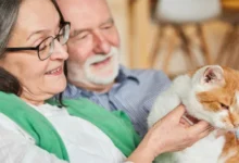 Recognizing When Your Pet is Declining