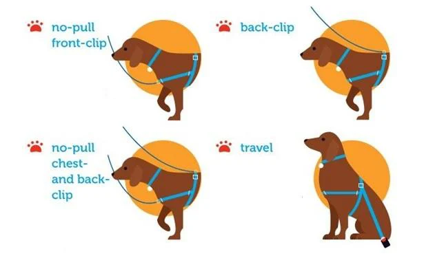 Types of Dog Harnesses 