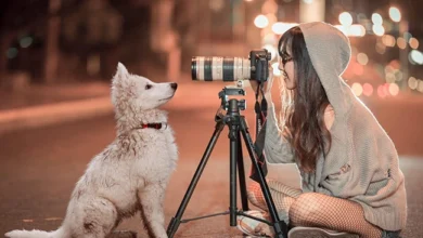 Ultimate Guide to Dog Photographers