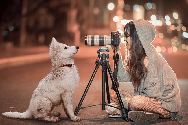 Ultimate Guide to Dog Photographers