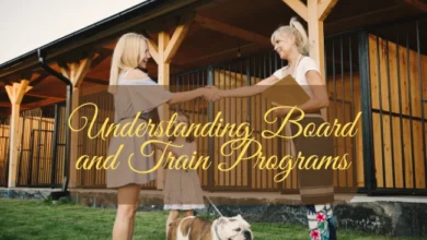 Understanding Board and Train Programs